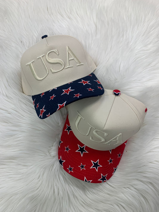 USA Embroidered Hat