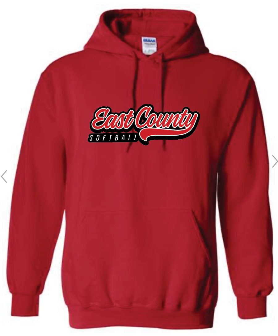 Youth Unisex Hoodie