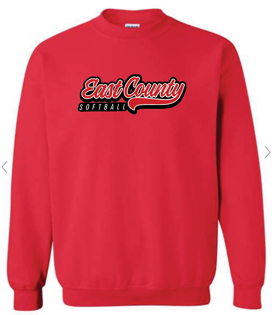 Youth Unisex Crewneck Sweatshirt