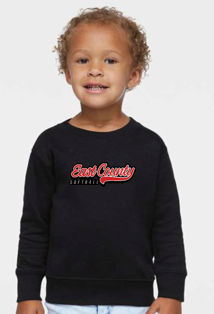 Toddler Sweatshirt