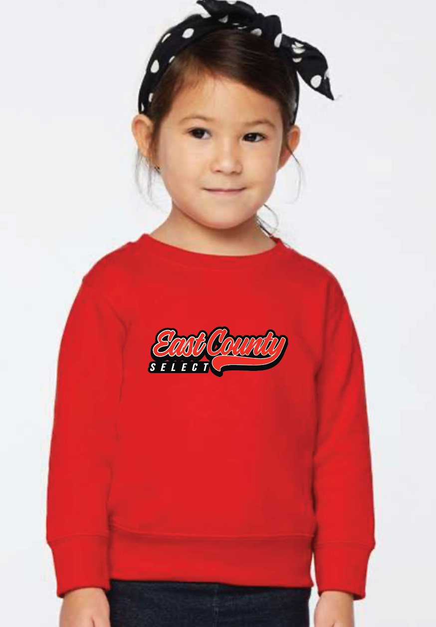 Toddler Sweatshirt