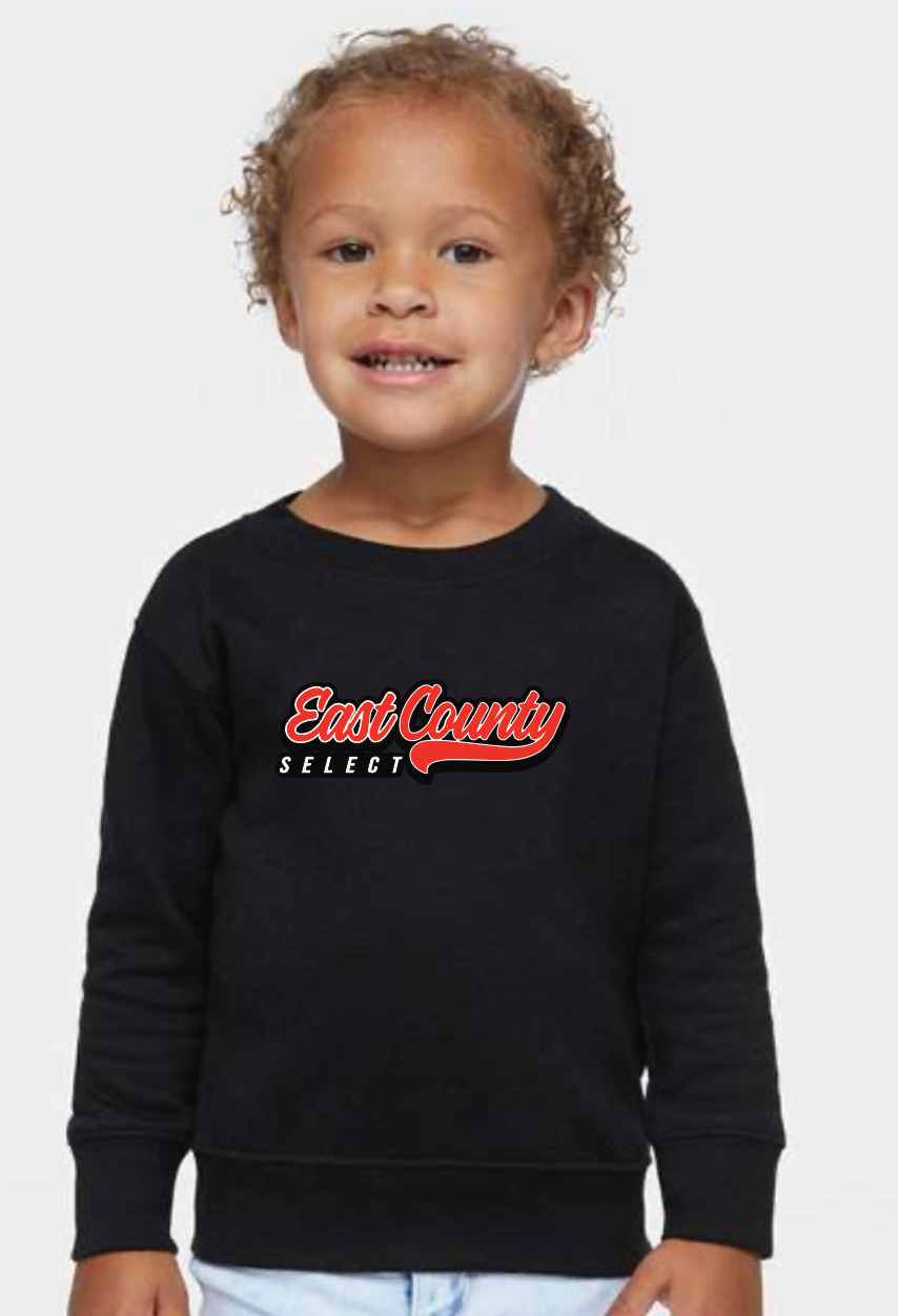 Toddler Sweatshirt