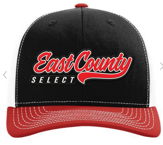 SELECT Richardson Curved Bill Snapback