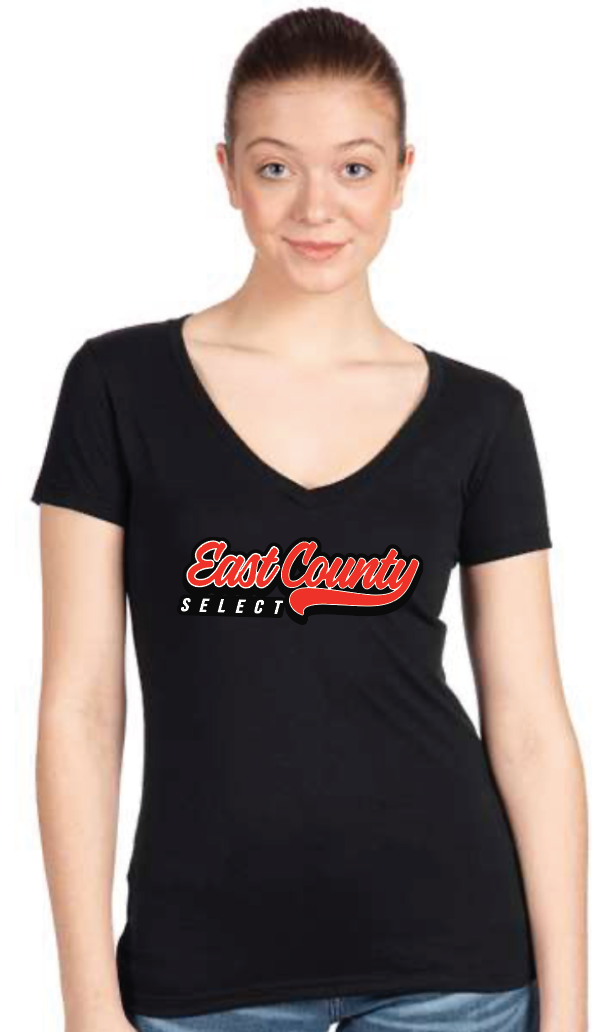Womens V-Neck Tee