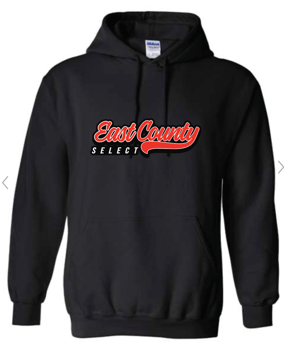 Youth Unisex Hoodie