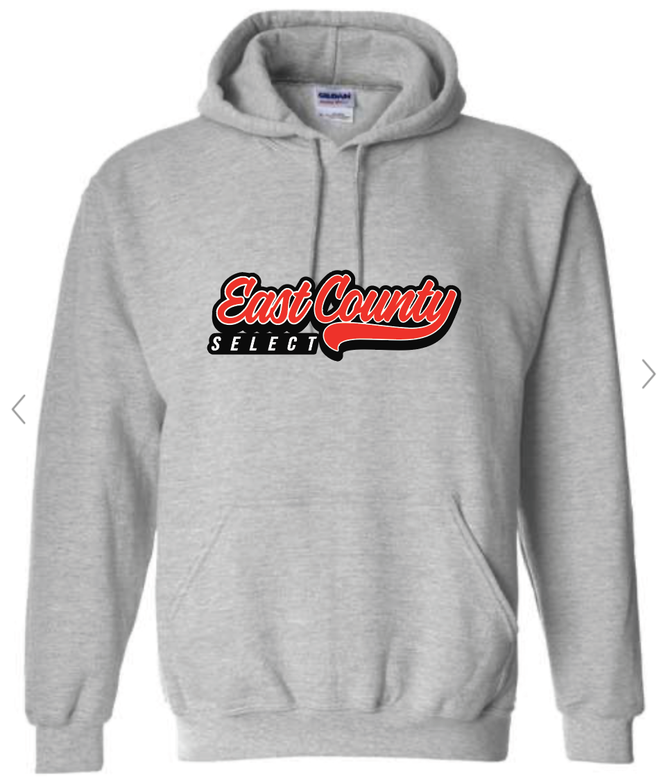 Youth Unisex Hoodie
