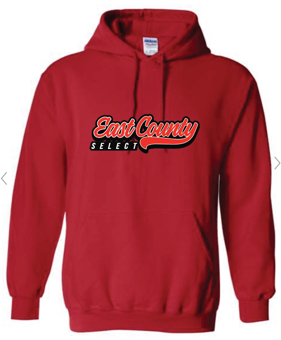 Youth Unisex Hoodie