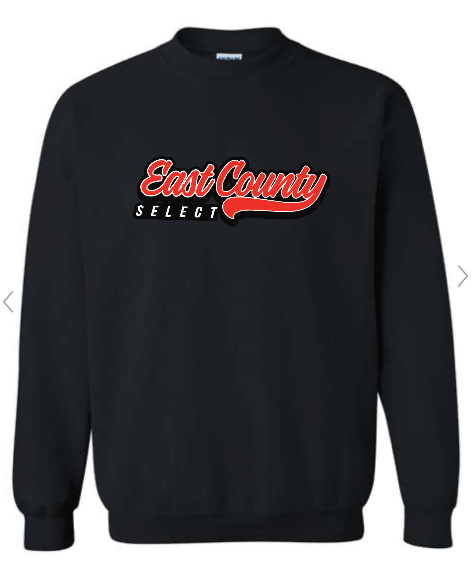 Youth Unisex Crewneck Sweatshirt