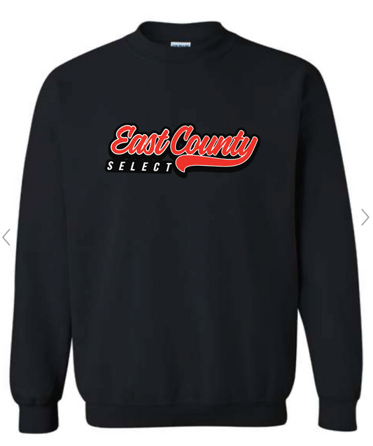 SELECT Youth Unisex Crewneck Sweatshirt
