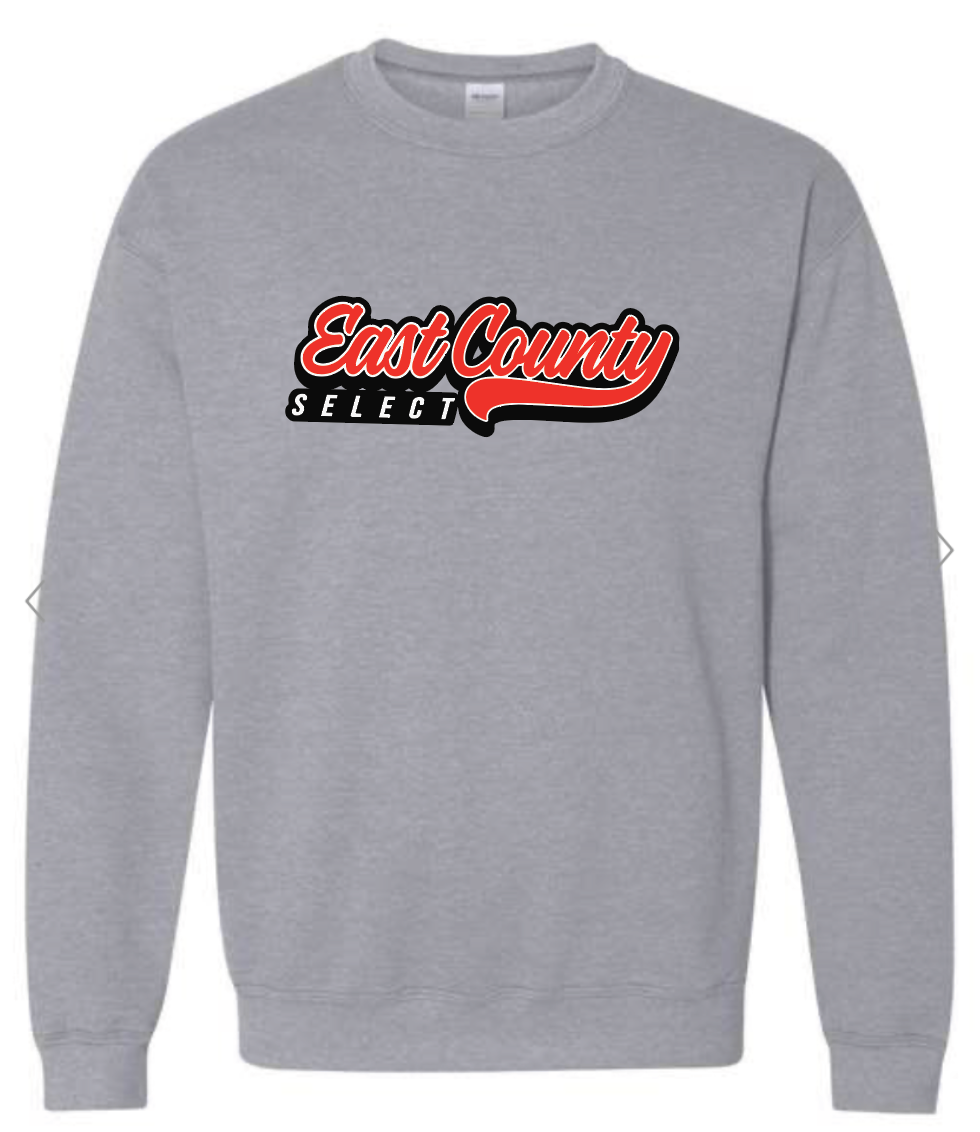 Youth Unisex Crewneck Sweatshirt